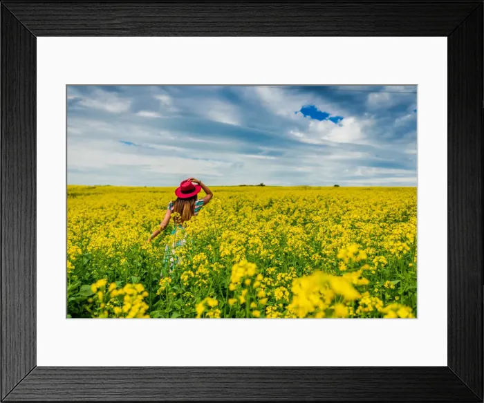 Framed Print : Field on the road to Chefchaouen, Morocco, North Africa, Africa