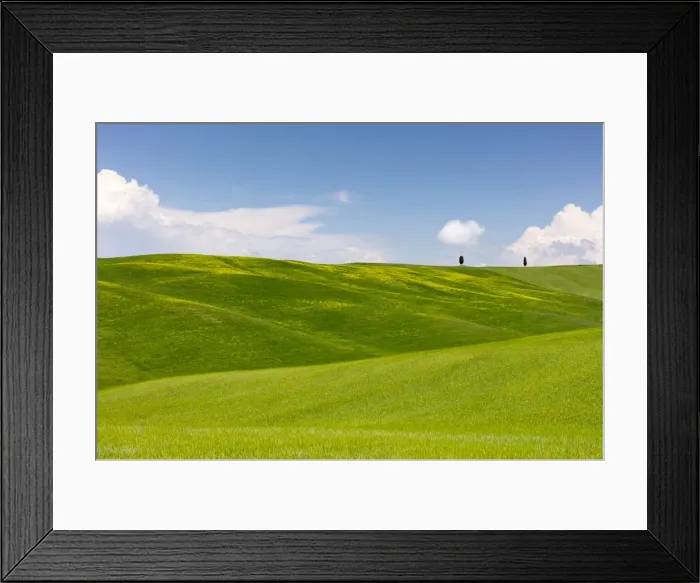Framed Print : Green fields, Cypress trees and blue sky in Val d Orcia, UNESCO World Heritage Site Framed Print : Green fields, Cypress trees and blue sky in Val d Orcia, UNESCO World Heritage Site