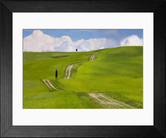 Framed Print : Green fields, Cypress trees and blue sky in Val d Orcia, UNESCO World Heritage Site Framed Print : Green fields, Cypress trees and blue sky in Val d Orcia, UNESCO World Heritage Site