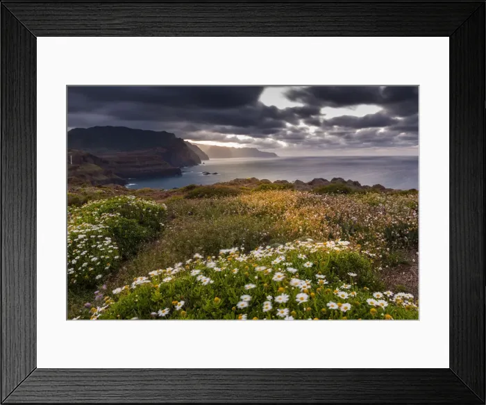 Framed Print : Rocky coast at the Ponta da Sao Lourenco and spring flowers at sunset, Eastern tip of the island Framed Print : Rocky coast at the Ponta da Sao Lourenco and spring flowers at sunset, Eastern tip of the island