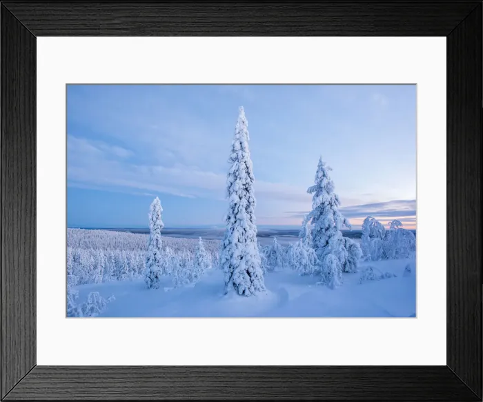 Framed Print : Snow covered winter landscape, Lapland, Pallas-Yllastunturi National Park, Lapland Framed Print : Snow covered winter landscape, Lapland, Pallas-Yllastunturi National Park, Lapland