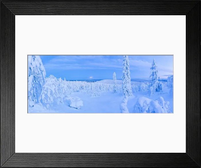 Framed Print : Snow covered winter landscape, Lapland, Pallas-Yllastunturi National Park, Lapland Framed Print : Snow covered winter landscape, Lapland, Pallas-Yllastunturi National Park, Lapland