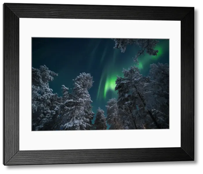 Framed Print : Aurora Borealis (Northern Lights), Pallas-Yllastunturi National Park, Lapland, Finland Framed Print : Aurora Borealis (Northern Lights), Pallas-Yllastunturi National Park, Lapland, Finland