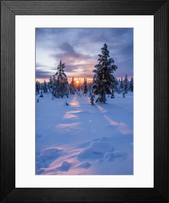 Framed Print : Snow covered winter landscape at sunrise, Lapland, Pallas-Yllastunturi National Park Framed Print : Snow covered winter landscape at sunrise, Lapland, Pallas-Yllastunturi National Park