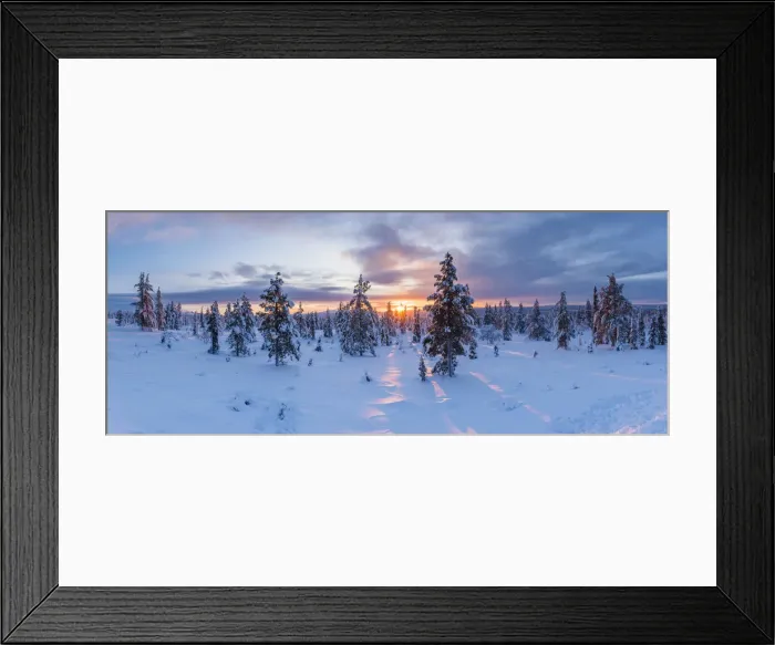 Framed Print : Snow covered winter landscape at sunrise, Lapland, Pallas-Yllastunturi National Park Framed Print : Snow covered winter landscape at sunrise, Lapland, Pallas-Yllastunturi National Park