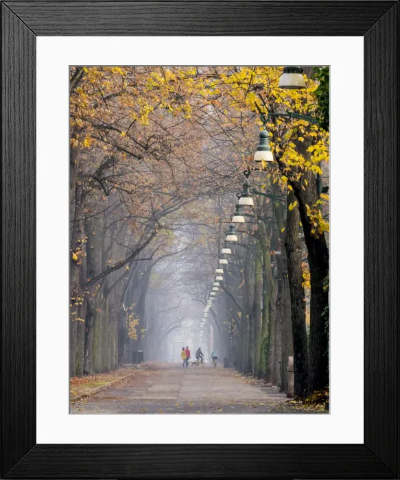 Framed Print : Parco del Valentino, Turin, Piedmont, Italy, Europe Framed Print : Parco del Valentino, Turin, Piedmont, Italy, Europe