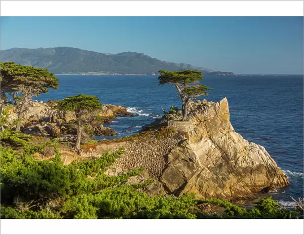 View of Carmel Bay and Lone Cypress at Pebble Beach, 17 Mile Drive, Peninsula, Monterey