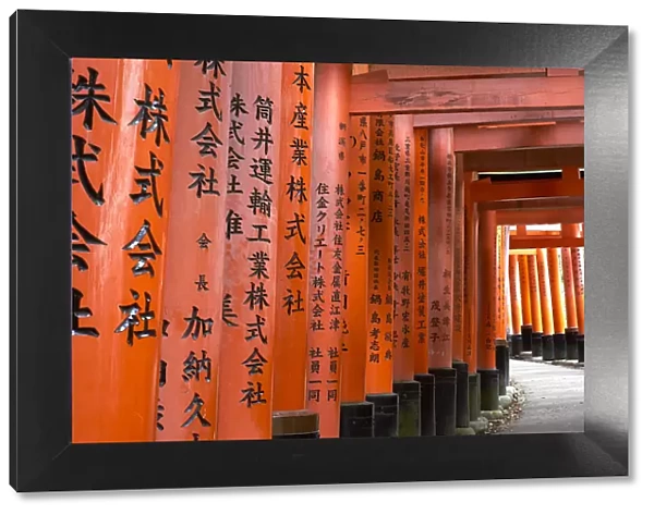 Prayers written in Japanese on the red wooden Torii Gates at Fushimi Inari Shrine