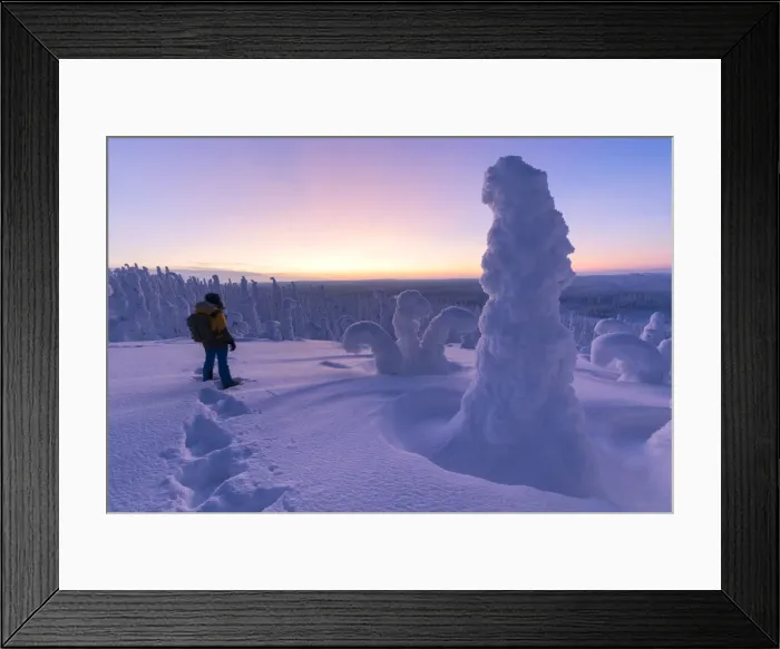 Framed Print : Hiker in the frozen forest, Riisitunturi National Park, Posio, Lapland, Finland, Europe Framed Print : Hiker in the frozen forest, Riisitunturi National Park, Posio, Lapland, Finland, Europe