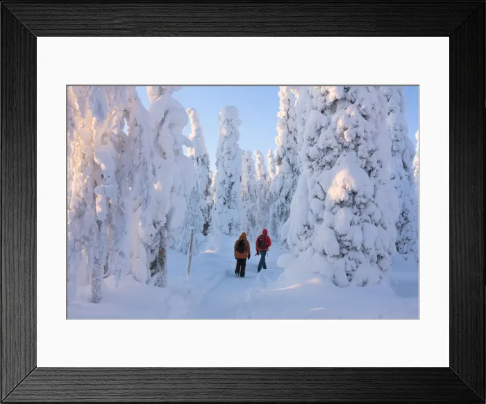 Framed Print : Hikers on path in the snowy woods, Riisitunturi National Park, Posio, Lapland, Finland Framed Print : Hikers on path in the snowy woods, Riisitunturi National Park, Posio, Lapland, Finland