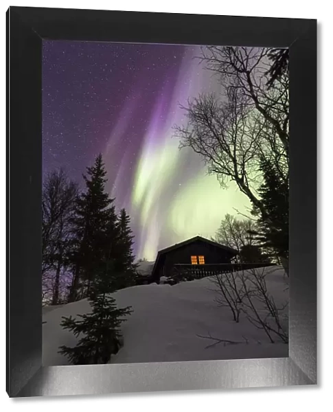 Northern Lights (Aurora borealis) over wood hut, Grovfjord, Troms county, Lofoten Islands