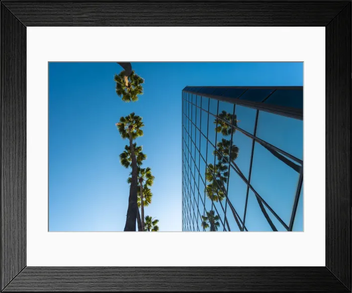 Framed Print : Palm trees and glass building, worm s-eye view, Hollywood, Los Angeles, California Framed Print : Palm trees and glass building, worm s-eye view, Hollywood, Los Angeles, California