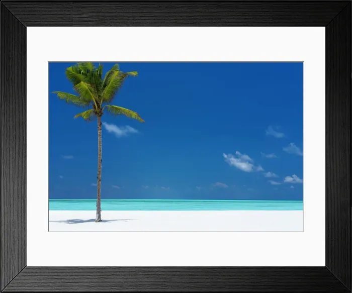 Framed Print : Palm tree and tropical beach, The Maldives, Indian Ocean, Asia Framed Print : Palm tree and tropical beach, The Maldives, Indian Ocean, Asia