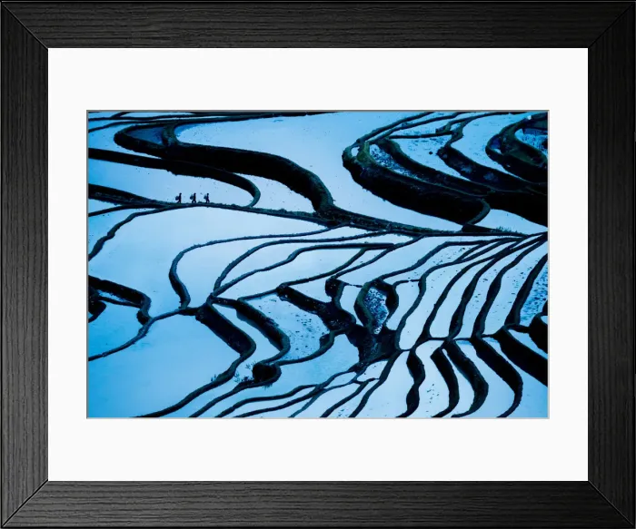 Framed Print : Duoyishu Rice Terraces at dawn, UNESCO World Heritage Site, Yuanyang, Yunnan Province Framed Print : Duoyishu Rice Terraces at dawn, UNESCO World Heritage Site, Yuanyang, Yunnan Province