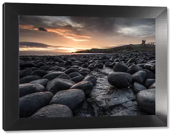 Dawn light reflecting on the rocks at Dunstanburgh Castle on the North East Coast