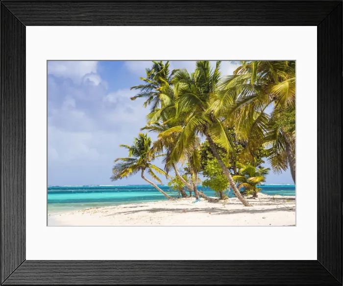 Framed Print : Petit Bateau, Tobago Cays, The Grenadines, St. Vincent and The Grenadines, West Indies Framed Print : Petit Bateau, Tobago Cays, The Grenadines, St. Vincent and The Grenadines, West Indies