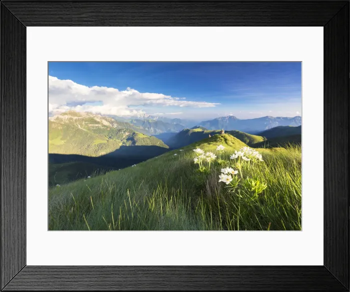 Framed Print : Wild flowers on crest towards Monte Azzarini with Bergamo Orobie Alps in the background Framed Print : Wild flowers on crest towards Monte Azzarini with Bergamo Orobie Alps in the background