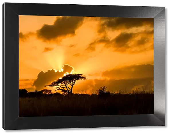 Sunset, Zululand, South Africa, Africa