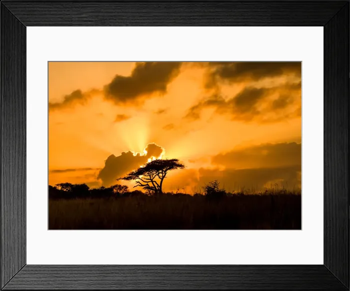 Framed Print : Sunset, Zululand, South Africa, Africa Framed Print : Sunset, Zululand, South Africa, Africa