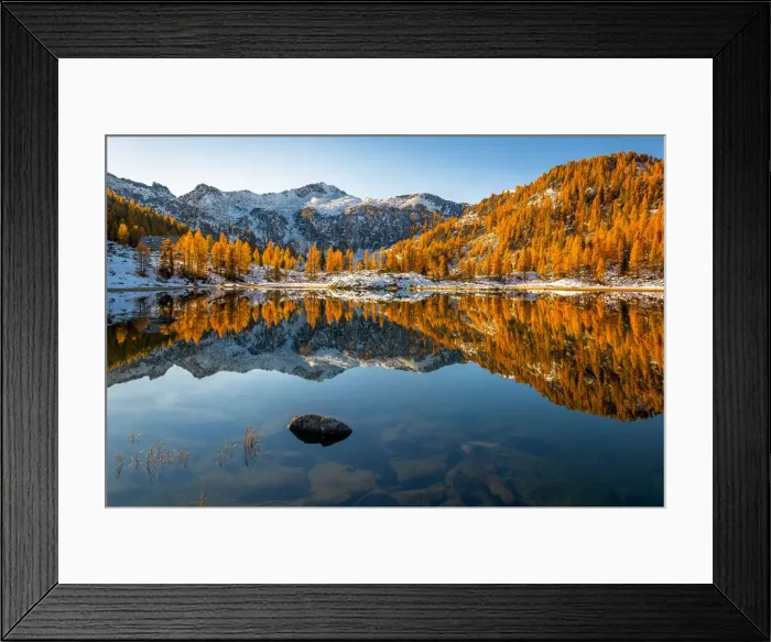 Framed Print : Autumn mirror at San Giuliano lake, Dolomiti di Brenta Natural Park, Dolomites, Trentino-Alto Adige Framed Print : Autumn mirror at San Giuliano lake, Dolomiti di Brenta Natural Park, Dolomites, Trentino-Alto Adige