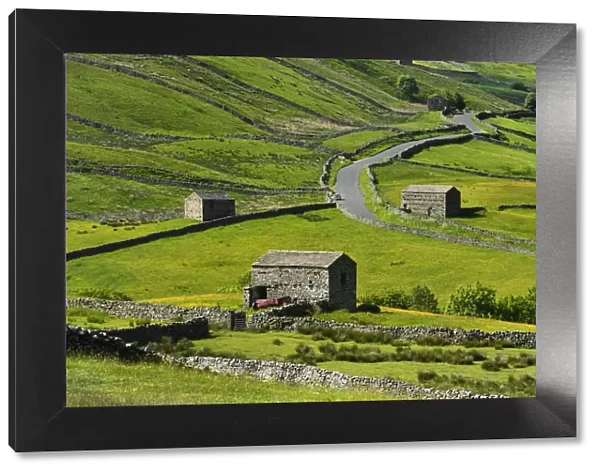 Meadows with field barns, Swaledale, Yorkshire Dales National Park, North Yorkshire