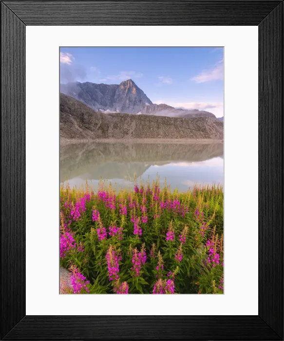 Framed Print : Mount Adamello in the summer season, Parco Adamello, Vallecamonica (Val Camonica)
