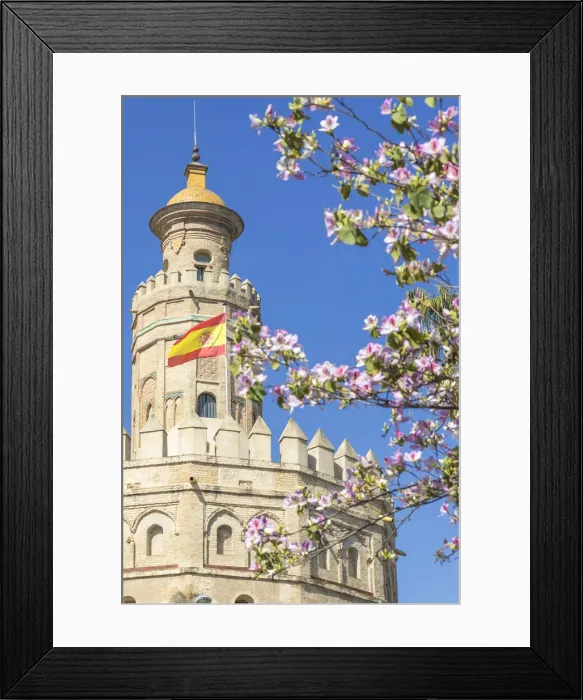 Framed Print : The Golden Tower (Torre del Oro), Seville, Andalusia, Spain, Europe Framed Print : The Golden Tower (Torre del Oro), Seville, Andalusia, Spain, Europe