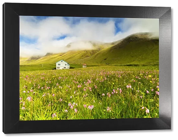 Farmhouse in fields of grass and wild flowers, Gasadalur, Vagar island, Faroe Islands