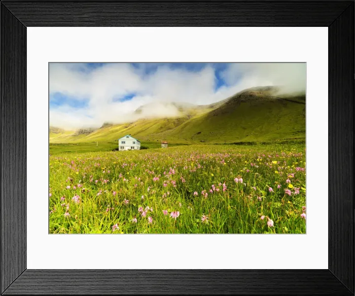 Framed Print : Farmhouse in fields of grass and wild flowers, Gasadalur, Vagar island, Faroe Islands