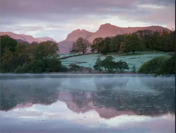 Langdale Pikes at dawn from Loughrigg Tarn, Lake District, Cumbria, England, United