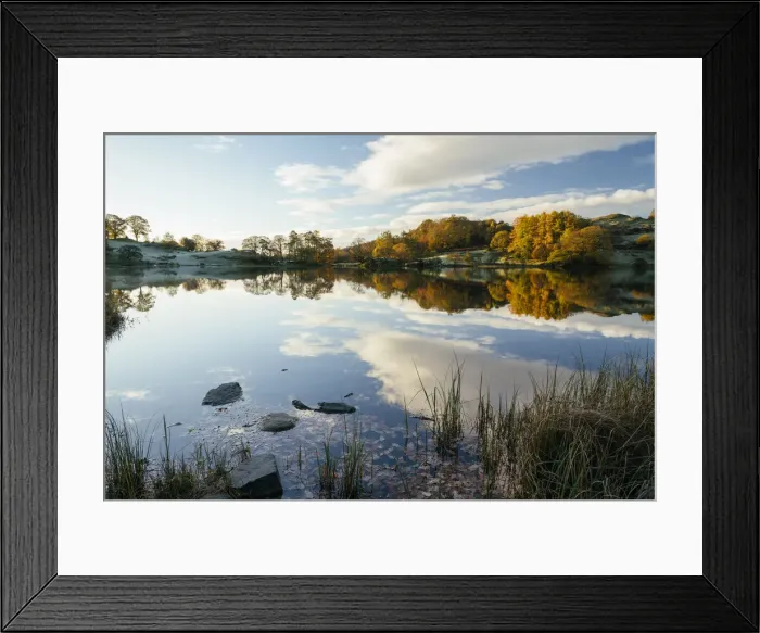 Framed Print : Dawn light at Loughrigg Tarn, Lake District, Cumbria, England, United Kingdom Framed Print : Dawn light at Loughrigg Tarn, Lake District, Cumbria, England, United Kingdom