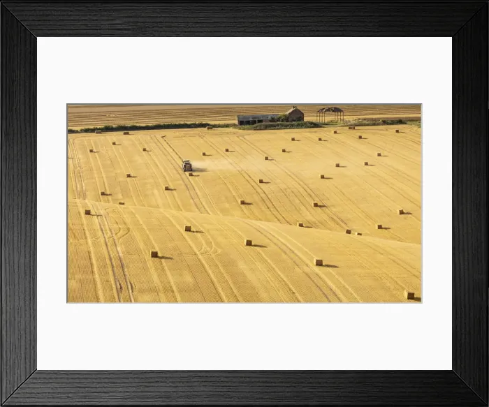 Framed Print : Hay bales on rolling chalk fields near the village of Fridaythorpe, on the East Yorkshire Framed Print : Hay bales on rolling chalk fields near the village of Fridaythorpe, on the East Yorkshire
