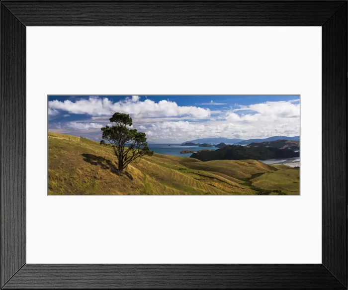 Framed Print : West Coast of Coromandel Peninsula, New Zealand North Island Framed Print : West Coast of Coromandel Peninsula, New Zealand North Island