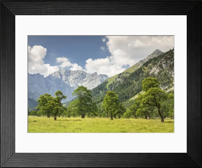 Framed Print : Grosser Ahornboden, maple trees, Karwendel mountains, nature reserve, Eng, Hinterriss Framed Print : Grosser Ahornboden, maple trees, Karwendel mountains, nature reserve, Eng, Hinterriss
