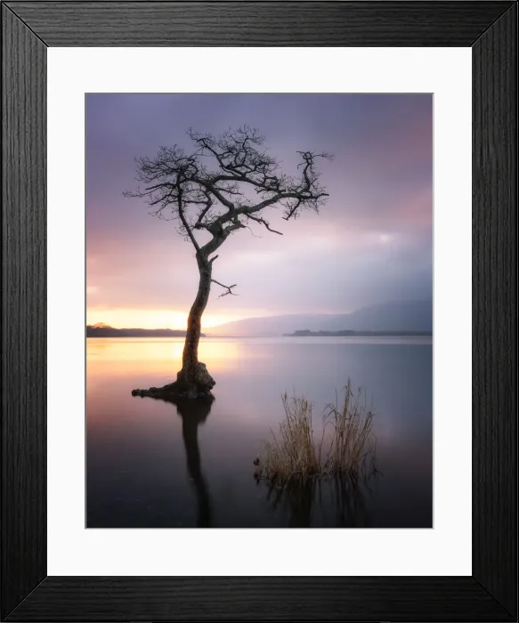 Framed Print : Loch Lomond at Sunset, Scotland, UK Framed Print : Loch Lomond at Sunset, Scotland, UK
