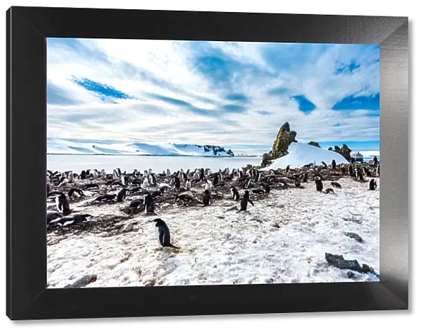 Scenic view of Chin Strap Penguins and glaciers in Antartica