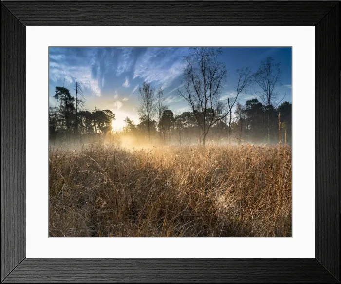 Framed Print : Dawn light over Strensall Common Lowland Heath, Nature Reserve, near York, North Yorkshire, UK Framed Print : Dawn light over Strensall Common Lowland Heath, Nature Reserve, near York, North Yorkshire, UK