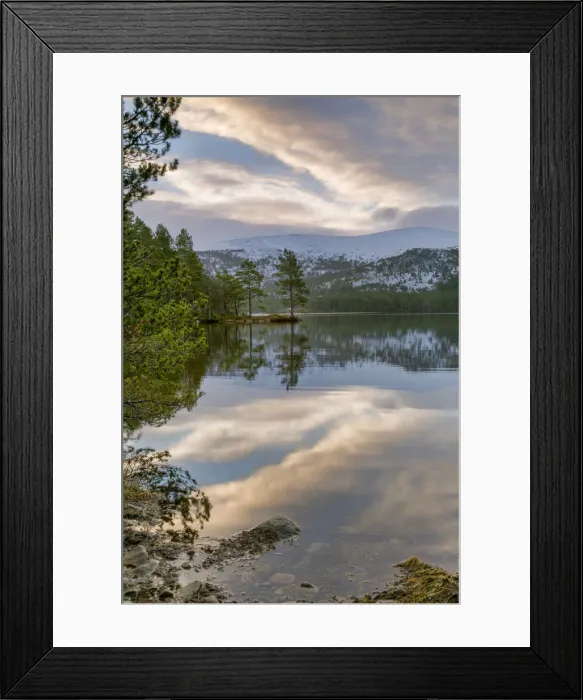 Framed Print : Crystal clear water and pine trees reflected in Lochan Eilein, The Cairngorms, Scotland Framed Print : Crystal clear water and pine trees reflected in Lochan Eilein, The Cairngorms, Scotland