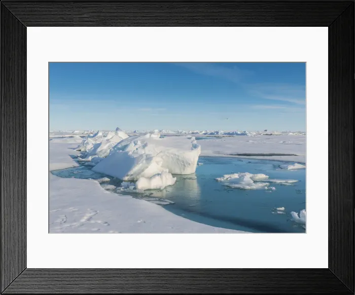 Framed Print : Sunshine on the ice of the North Pole, Arctic Framed Print : Sunshine on the ice of the North Pole, Arctic