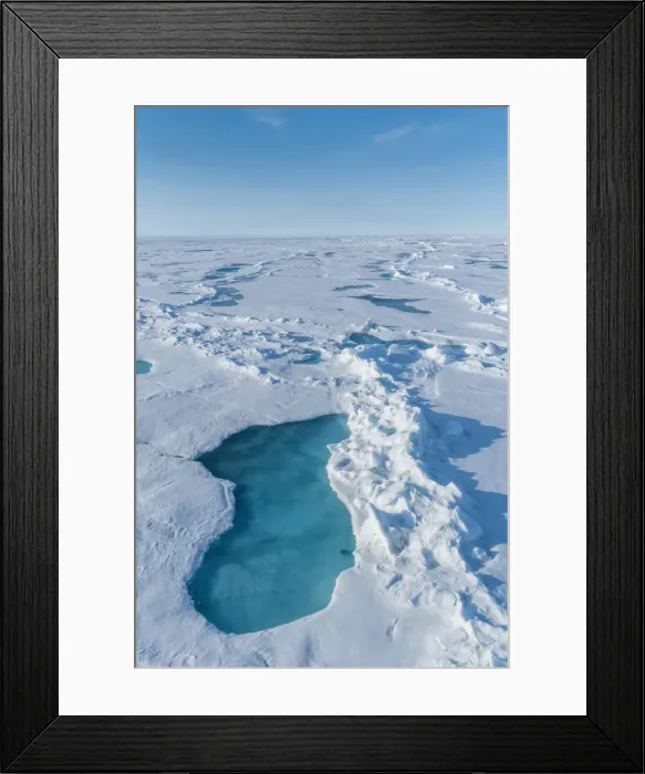 Framed Print : Blue ice in little ponds, North Pole, Arctic Framed Print : Blue ice in little ponds, North Pole, Arctic
