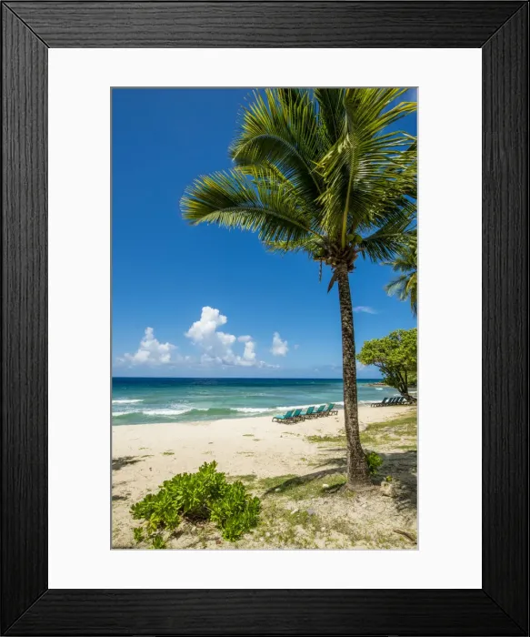 Framed Print : Carambola Beach Resort beach, St. Croix, US Virgin Islands Framed Print : Carambola Beach Resort beach, St. Croix, US Virgin Islands