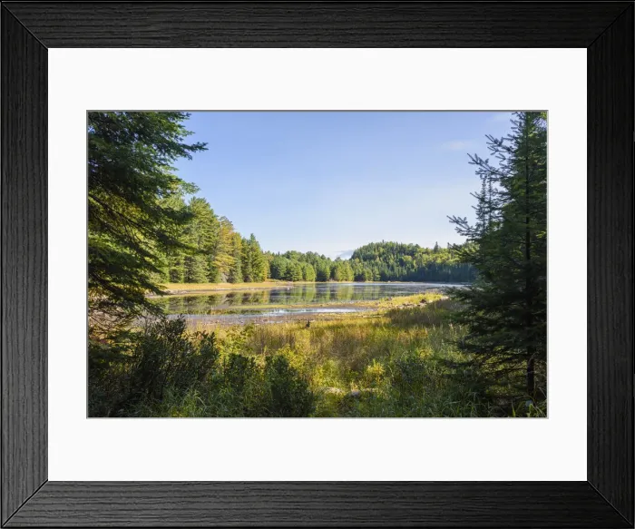 Framed Print : Highland Backpacking Trail, Algonquin Provincial Park, Ontario, Canada Framed Print : Highland Backpacking Trail, Algonquin Provincial Park, Ontario, Canada