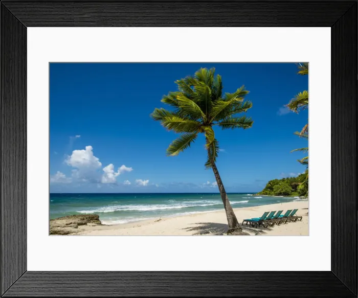 Framed Print : Carambola Beach Resort beach, St. Croix, US Virgin Islands Framed Print : Carambola Beach Resort beach, St. Croix, US Virgin Islands