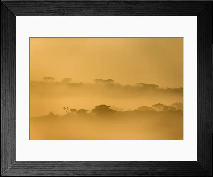 Framed Print : iMfolozi game reserve at dawn, KwaZulu-Natal, South Africa Framed Print : iMfolozi game reserve at dawn, KwaZulu-Natal, South Africa