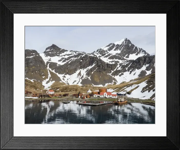 Framed Print : The abandoned whaling station at Grytviken, now cleaned and refurbished for tourism Framed Print : The abandoned whaling station at Grytviken, now cleaned and refurbished for tourism