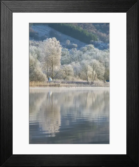 Framed Print : Loch Ard partially frozen over and a hoar frost around Aberfoyle in the Loch Lomond Framed Print : Loch Ard partially frozen over and a hoar frost around Aberfoyle in the Loch Lomond