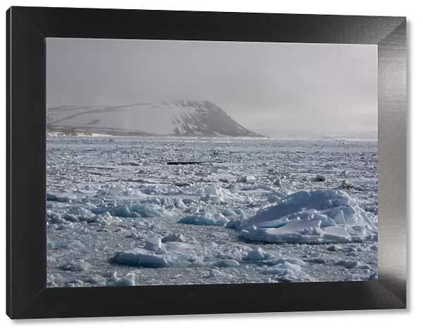 Wahlenberg fjord, Nordaustlandet, Svalbard Islands, Arctic, Norway, Europe