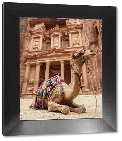 Camel in front of The Treasury (Al-Khazneh), Petra, UNESCO World Heritage Site, Ma an