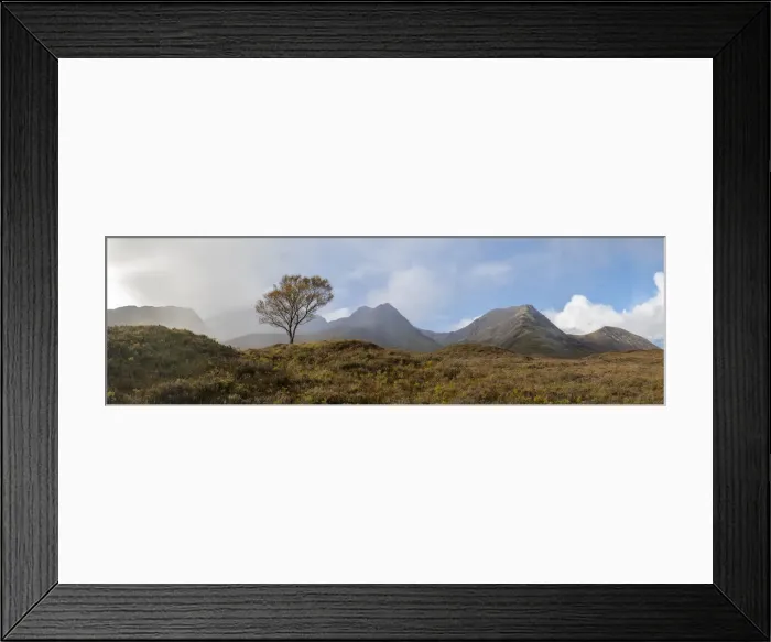 Framed Print : A lone tree and the Cuillins on The Isle of Skye, Inner Hebrides, Scottish Highlands Framed Print : A lone tree and the Cuillins on The Isle of Skye, Inner Hebrides, Scottish Highlands