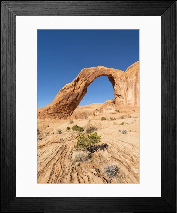 Framed Print : Corona Arch and Bootlegger Canyon, Moab, Utah, United States of America, North America Framed Print : Corona Arch and Bootlegger Canyon, Moab, Utah, United States of America, North America